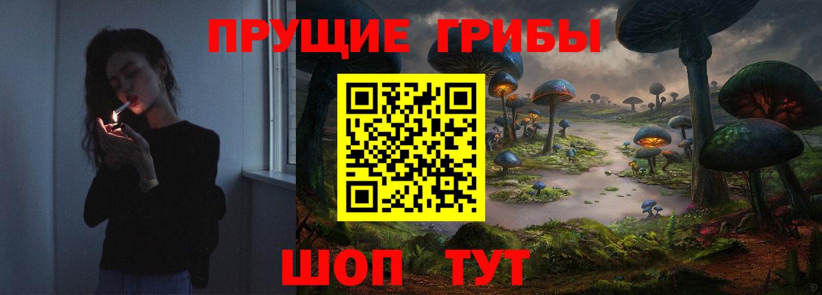 Псилоцибиновые грибы мухоморы Кудрово
