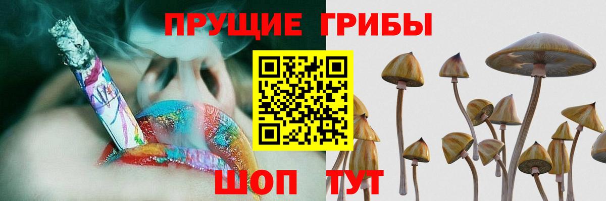 Галлюциногенные грибы Psilocybine cubensis  Галлюциногенные грибы GOLDEN TEACHER  Кудрово  Вход с VPN 